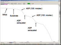 /album/antonio-ascens%c3%a3o/o2-mitoch-png/